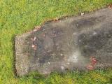 image of grave number 973746